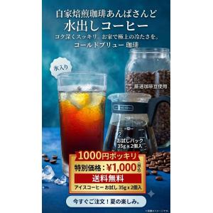 1000円ポッキリ 送料無料 水出しコーヒー アイスコーヒー パック お試し 35g 2個入 自家焙煎珈琲あんぱさんど コールドブリュー 珈琲