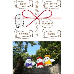 プリザーブドフラワー 古希 喜寿 傘寿 米寿 ...の詳細画像2