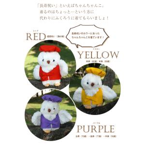 プリザーブドフラワー 古希 喜寿 傘寿 米寿 ...の詳細画像3