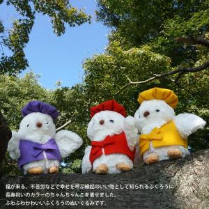 プリザーブドフラワー 古希 喜寿 傘寿 米寿 ...の詳細画像1