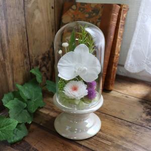 ガラスドーム 仏花 喪中見舞い 初盆 命日 お供え お盆 花 初盆 花 プリザーブドフラワー 仏壇花 ドーム 仏花 初盆 お供え 「ガラスドーム 胡蝶蘭　new!」