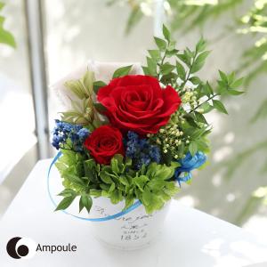 サウンドアレンジ 【楽天ランキング1位】ケース入りレインボー