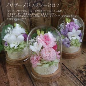 初盆 お供え 一周忌 喪中見舞い ガラスドーム...の詳細画像3