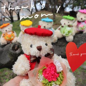 くま プレゼント カーネーション 赤 誕生日 プリザーブドフラワー 還暦祝い 退職祝い テディベア 花束 ギフト 花束「パレットくまちゃんブーケ」