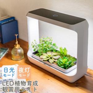 Ledライト 植物育成 卓上ライト の商品一覧 照明 電球 家具 インテリア 通販 Yahoo ショッピング