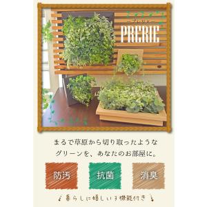 フェイクグリーン おしゃれ 観葉植物 壁掛け ...の詳細画像1