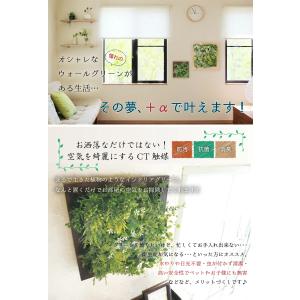フェイクグリーン おしゃれ 観葉植物 壁掛け ...の詳細画像2