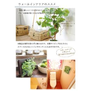 フェイクグリーン おしゃれ 観葉植物 壁掛け ...の詳細画像3