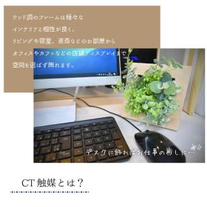 フェイクグリーン おしゃれ 観葉植物 壁掛け ...の詳細画像5