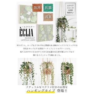 フェイクグリーン 壁掛け ミニ インテリア 多...の詳細画像1