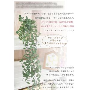 フェイクグリーン 壁掛け ミニ インテリア 多...の詳細画像2