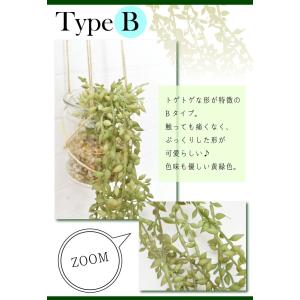 フェイクグリーン 壁掛け ミニ インテリア 多...の詳細画像4