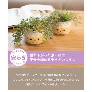 フェイクグリーン 多肉植物 サボテン 風水 人...の詳細画像1