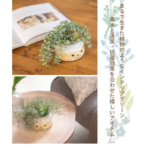 フェイクグリーン 多肉植物 サボテン 風水 人...の詳細画像2