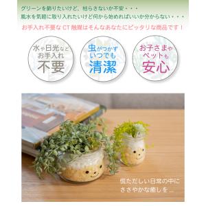 フェイクグリーン 多肉植物 サボテン 風水 人...の詳細画像3