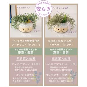 フェイクグリーン 多肉植物 サボテン 風水 人...の詳細画像4