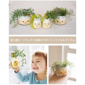 フェイクグリーン 多肉植物 サボテン 風水 人...の詳細画像5