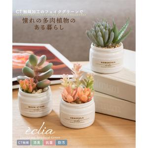 フェイクグリーン 多肉植物 人工観葉植物 造花...の詳細画像1