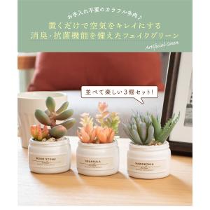 フェイクグリーン 多肉植物 人工観葉植物 造花...の詳細画像2