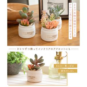 フェイクグリーン 多肉植物 人工観葉植物 造花...の詳細画像3
