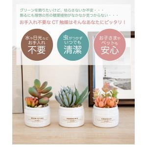 フェイクグリーン 多肉植物 人工観葉植物 造花...の詳細画像5