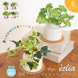 光触媒 人工観葉植物 インテリアグリーン フィットニア MR : しれとこ