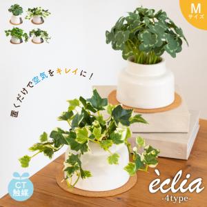 フェイクグリーン おしゃれ 人工観葉 玄関 卓上 観葉植物 クローバー アイビー モンステラ シュガーバイン ナチュラル 消臭 抗菌 CT触媒 鉢植え ECLIA Mサイズ