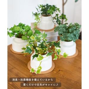 フェイクグリーン おしゃれ 人工観葉 玄関 卓...の詳細画像2