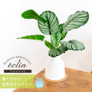 フェイクグリーン おしゃれ カラテア 観葉植物 ...の商品画像