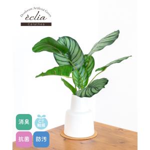フェイクグリーン おしゃれ カラテア 観葉植物...の詳細画像1