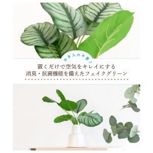フェイクグリーン おしゃれ カラテア 観葉植物...の詳細画像2