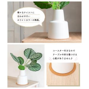 フェイクグリーン おしゃれ カラテア 観葉植物...の詳細画像5