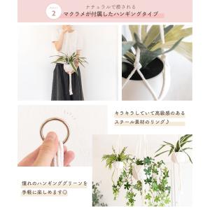 フェイクグリーン おしゃれ ハンギング 壁掛け...の詳細画像3