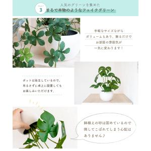 フェイクグリーン おしゃれ ハンギング 壁掛け...の詳細画像4
