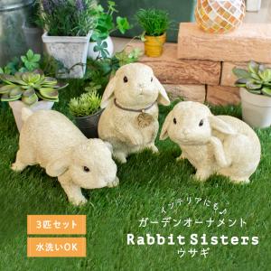 信楽焼 うさぎ 置物 玄関 かわいい 陶器 ウサギ 兎 縁起物 焼き物