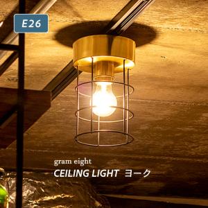 ODELIC（オーデリック） シーリングファン 専用灯具 照明器具 LED