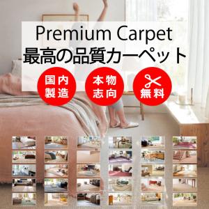 カーペット 高級 通販 サイズ内カット無料 送料無料 アスワン 質にこだわったカーペット 色や質感を確かめるサンプル