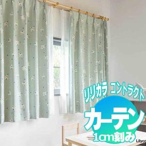 コントラクトカーテン リリカラ ちょうちょ LC...の商品画像