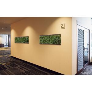 空間をデザインする新しいグリーンスタイル 連接グリーン GM1826〜GM1831