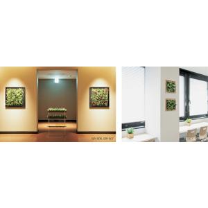 空間をデザインする新しいグリーンスタイル 連接グリーン GR1000〜GR1007