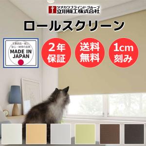 カーテンレール 取付可 窓回り 収納 目隠し 空...の商品画像