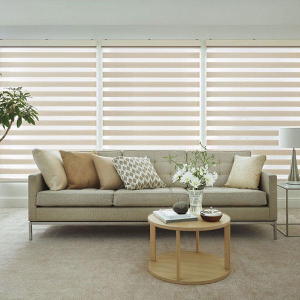 調光ロールスクリーン タチカワブラインド ビブラ デュオレ  防炎 木目調フレーム