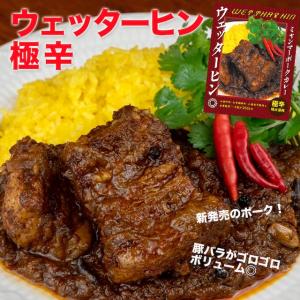 【ポークカレー/極辛2箱】ウェッターヒン★ミャンマーカレー★レトルトカレー＜送料無料＞保芦ヒロスケ監修の極辛カレー！★尾上右近氏絶賛｜amritamarket