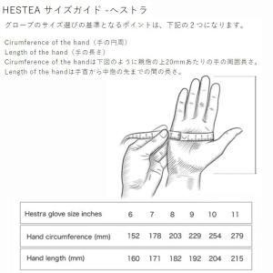 ヘストラ グローブ 2026 HESTRA 3...の詳細画像2