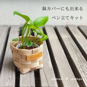 小学生の工作に♪【ペン立て 1色 紙バンドキッ...の詳細画像4