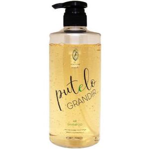エスタブリッシュ コアプレックス シャンプー 400mL ダメージ補修