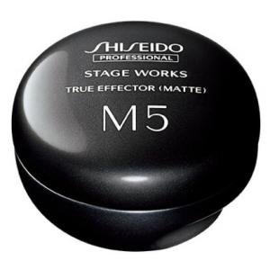 資生堂 シセイドウ ステージ ワークス トゥルーエフェクター マット 80g スタイリング サロン専...