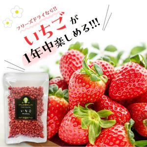 フリーズドライ いちご 100g イチゴ トッ...の詳細画像1