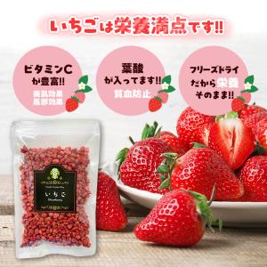 フリーズドライ いちご 100g イチゴ トッ...の詳細画像4
