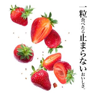 フリーズドライ いちご 45g イチゴ トッピ...の詳細画像2